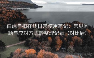 白虎自扣在线日常使用笔记：常见问题与应对方式的整理记录（对比后）