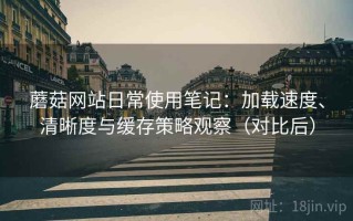 蘑菇网站日常使用笔记：加载速度、清晰度与缓存策略观察（对比后）