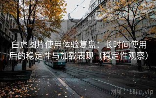 白虎图片使用体验复盘：长时间使用后的稳定性与加载表现（稳定性观察）