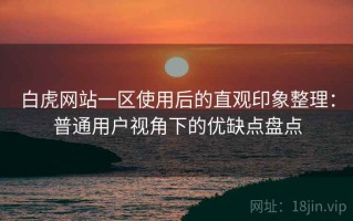 白虎网站一区使用后的直观印象整理：普通用户视角下的优缺点盘点