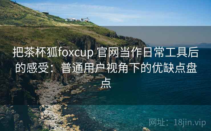 把茶杯狐foxcup 官网当作日常工具后的感受：普通用户视角下的优缺点盘点-第1张图片