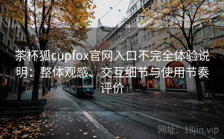茶杯狐cupfox官网入口不完全体验说明：整体观感、交互细节与使用节奏评价-第2张图片