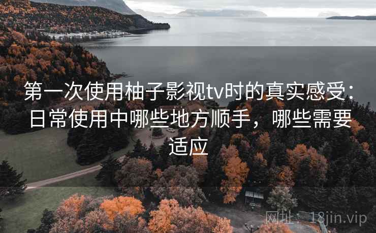 第一次使用柚子影视tv时的真实感受：日常使用中哪些地方顺手，哪些需要适应-第2张图片