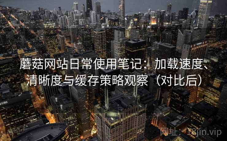 蘑菇网站日常使用笔记:加载速度、清晰度与缓存策略观察(对比后)-第2张图片 蘑菇网站日常使用笔记:加载速度、清晰度与缓存策略观察(对比后)-第2张图片