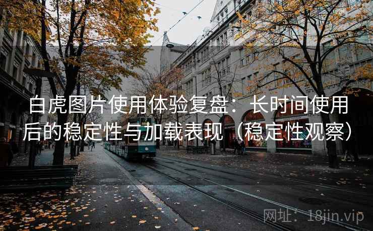 白虎图片使用体验复盘:长时间使用后的稳定性与加载表现(稳定性观察)-第1张图片 白虎图片使用体验复盘:长时间使用后的稳定性与加载表现(稳定性观察)-第1张图片